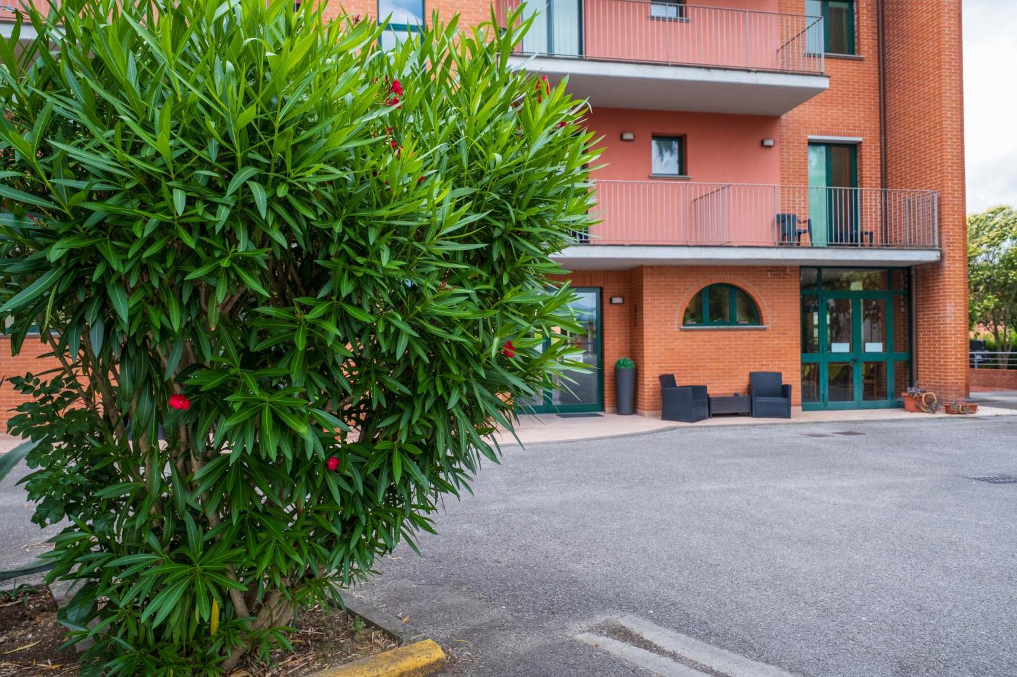 Casa Betania Hotel Pisa Exterior photo